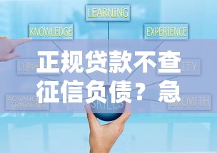 正规贷款不查征信负债？急用资金必知攻略大揭秘！