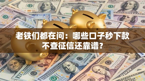 老铁们都在问：哪些口子秒下款不查征信还靠谱？