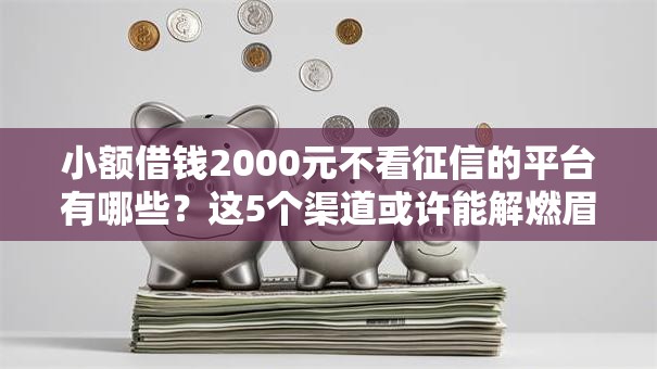 小额借钱2000元不看征信的平台有哪些？这5个渠道或许能解燃眉之急