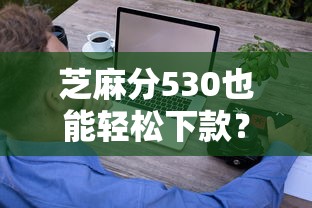 芝麻分530也能轻松下款？这些低门槛平台别错过！