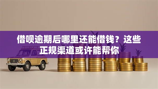 借呗逾期后哪里还能借钱？这些正规渠道或许能帮你