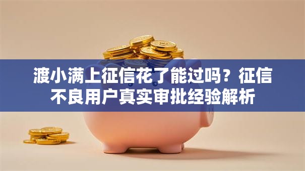 渡小满上征信花了能过吗？征信不良用户真实审批经验解析