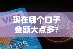 现在哪个口子金额大点多？这5个平台额度高审核快