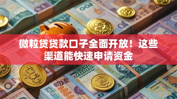 微粒贷贷款口子全面开放！这些渠道能快速申请资金