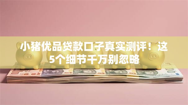 小猪优品贷款口子真实测评！这5个细节千万别忽略