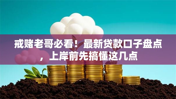 戒赌老哥必看！最新贷款口子盘点，上岸前先搞懂这几点
