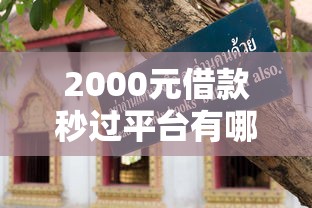 2000元借款秒过平台有哪些？实测快速到账技巧+避坑指南
