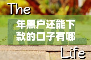 年黑户还能下款的口子有哪些？真实渠道解析