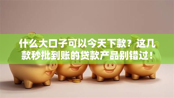 什么大口子可以今天下款？这几款秒批到账的贷款产品别错过！