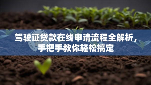 驾驶证贷款在线申请流程全解析，手把手教你轻松搞定
