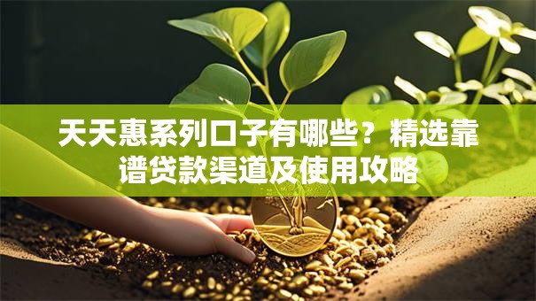 天天惠系列口子有哪些？精选靠谱贷款渠道及使用攻略