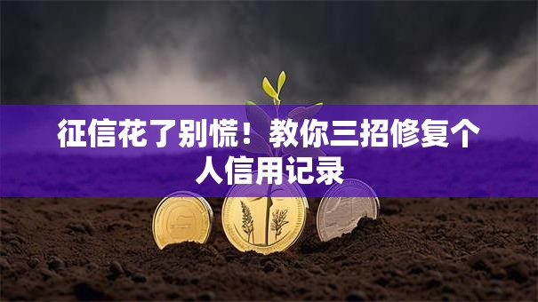 征信花了别慌！教你三招修复个人信用记录