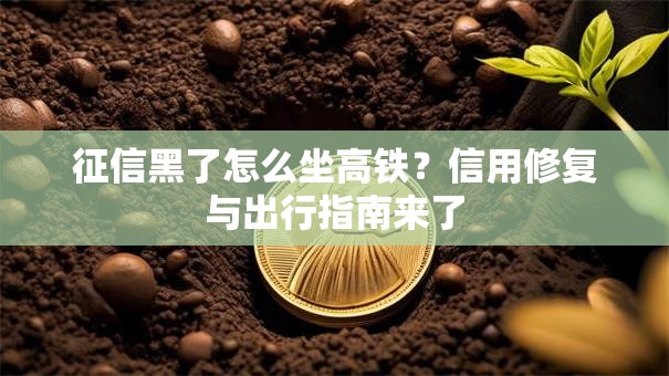 征信黑了怎么坐高铁？信用修复与出行指南来了