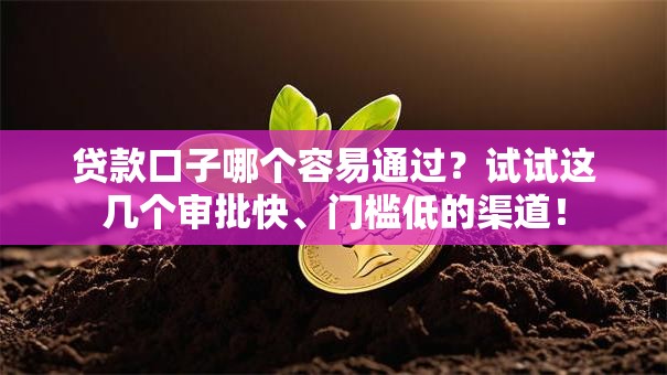 贷款口子哪个容易通过？试试这几个审批快、门槛低的渠道！