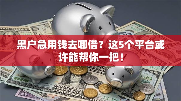 黑户急用钱去哪借？这5个平台或许能帮你一把！