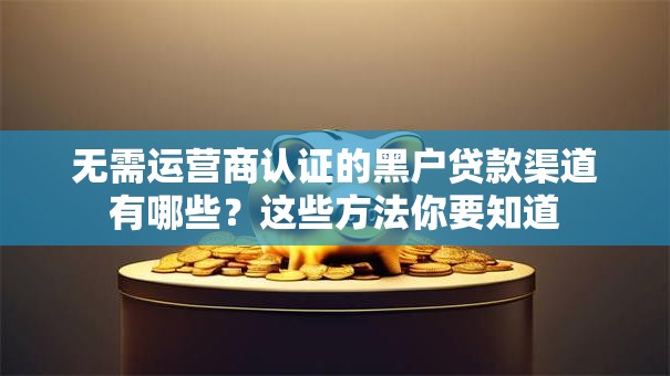 无需运营商认证的黑户贷款渠道有哪些？这些方法你要知道
