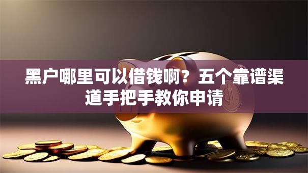 黑户哪里可以借钱啊？五个靠谱渠道手把手教你申请