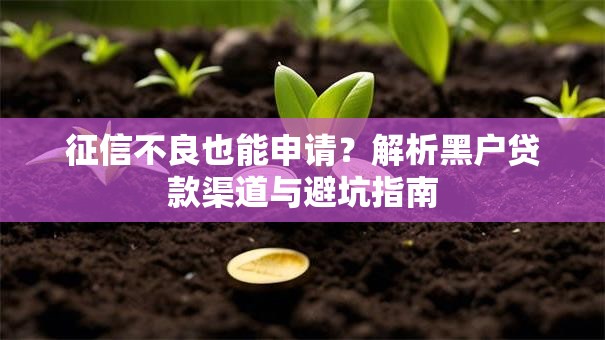 征信不良也能申请？解析黑户贷款渠道与避坑指南