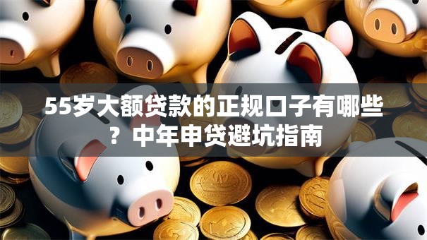 55岁大额贷款的正规口子有哪些？中年申贷避坑指南