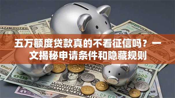五万额度贷款真的不看征信吗？一文揭秘申请条件和隐藏规则