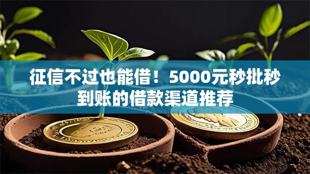征信不过也能借！5000元秒批秒到账的借款渠道推荐