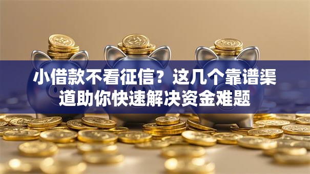 小借款不看征信？这几个靠谱渠道助你快速解决资金难题