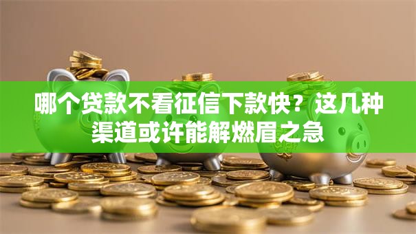 哪个贷款不看征信下款快？这几种渠道或许能解燃眉之急