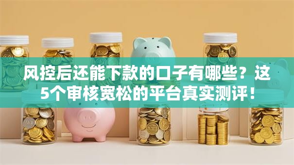 风控后还能下款的口子有哪些？这5个审核宽松的平台真实测评！