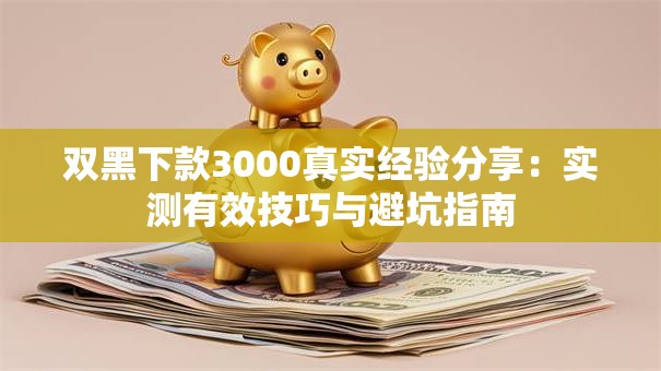 双黑下款3000真实经验分享：实测有效技巧与避坑指南