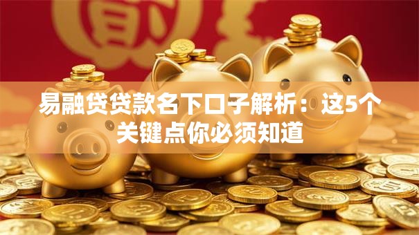易融贷贷款名下口子解析：这5个关键点你必须知道