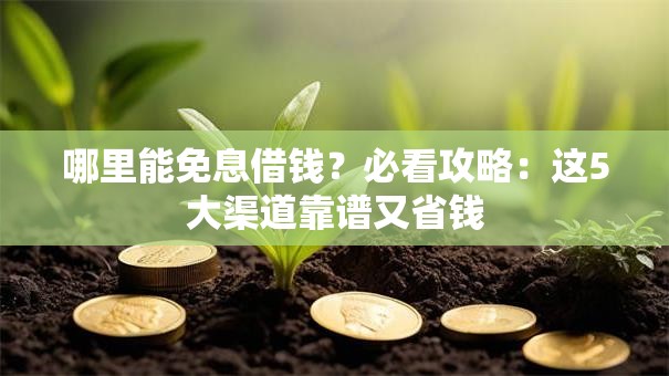 哪里能免息借钱？必看攻略：这5大渠道靠谱又省钱