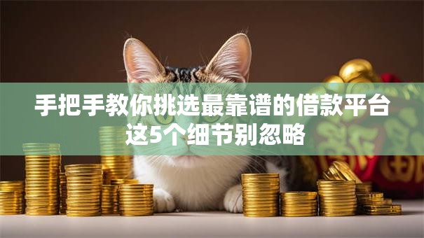 手把手教你挑选最靠谱的借款平台 这5个细节别忽略