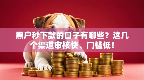 黑户秒下款的口子有哪些？这几个渠道审核快、门槛低！