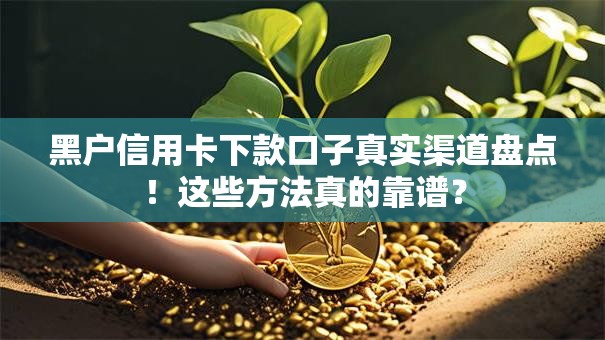黑户信用卡下款口子真实渠道盘点！这些方法真的靠谱？