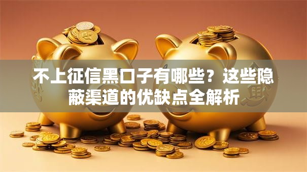 不上征信黑口子有哪些？这些隐蔽渠道的优缺点全解析