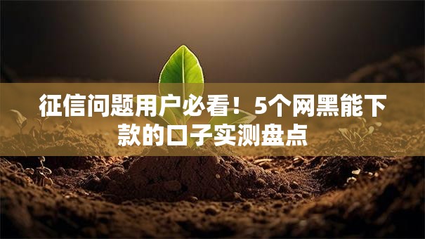征信问题用户必看！5个网黑能下款的口子实测盘点