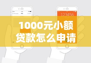 1000元小额贷款怎么申请？手把手教你避坑指南低门槛轻松到账