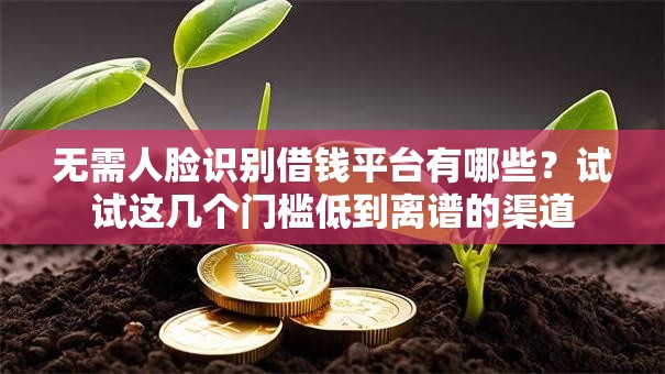 无需人脸识别借钱平台有哪些？试试这几个门槛低到离谱的渠道