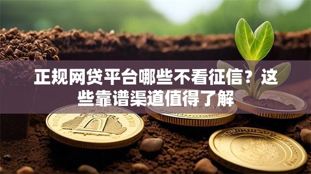 正规网贷平台哪些不看征信？这些靠谱渠道值得了解