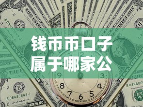 钱币币口子属于哪家公司？一文揭秘贷款平台背景