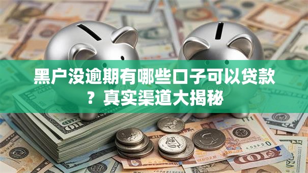 黑户没逾期有哪些口子可以贷款？真实渠道大揭秘