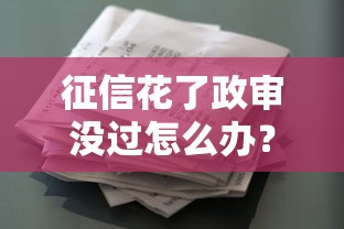 征信花了政审没过怎么办？贷款被拒补救全攻略