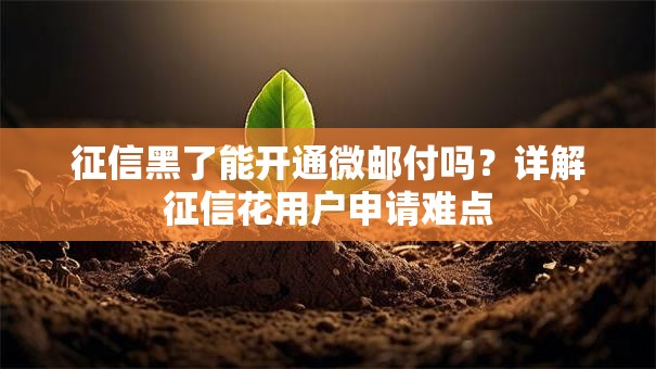 征信黑了能开通微邮付吗？详解征信花用户申请难点