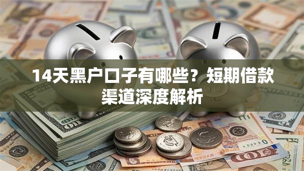 14天黑户口子有哪些？短期借款渠道深度解析