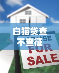 白猫贷查不查征信？黑户申请贷款注意事项全解析