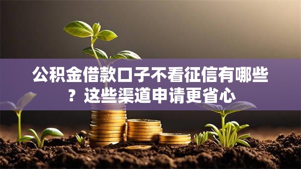 公积金借款口子不看征信有哪些？这些渠道申请更省心
