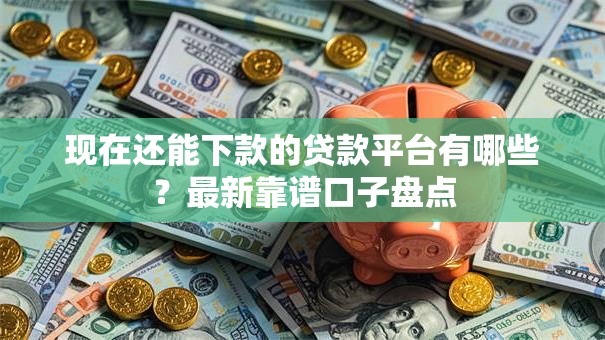现在还能下款的贷款平台有哪些？最新靠谱口子盘点