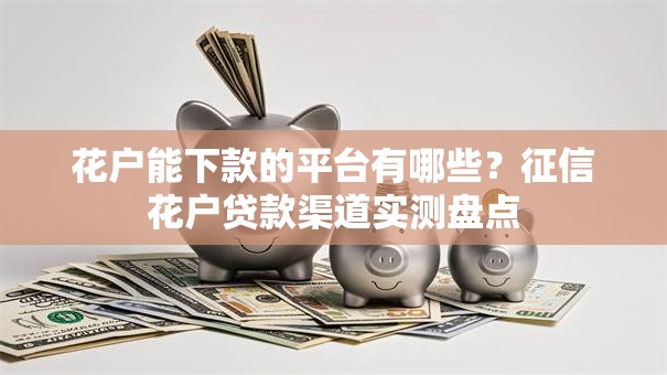 花户能下款的平台有哪些？征信花户贷款渠道实测盘点