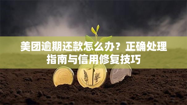 美团逾期还款怎么办？正确处理指南与信用修复技巧