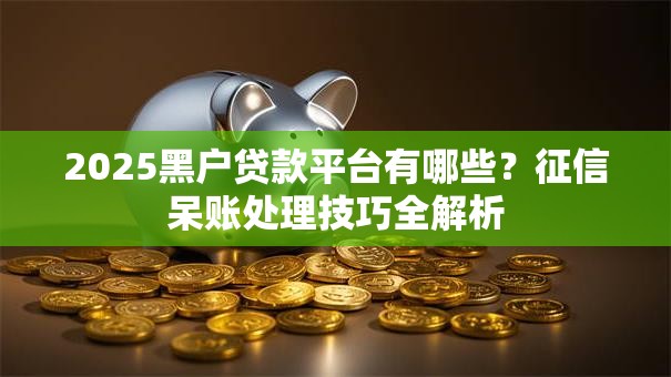 2025黑户贷款平台有哪些？征信呆账处理技巧全解析